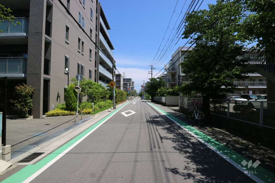敷地東側の前面道路（南側から）