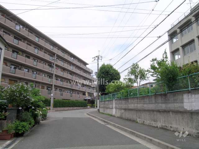 敷地の東側は道路を挟んで『第十五中学校』です。