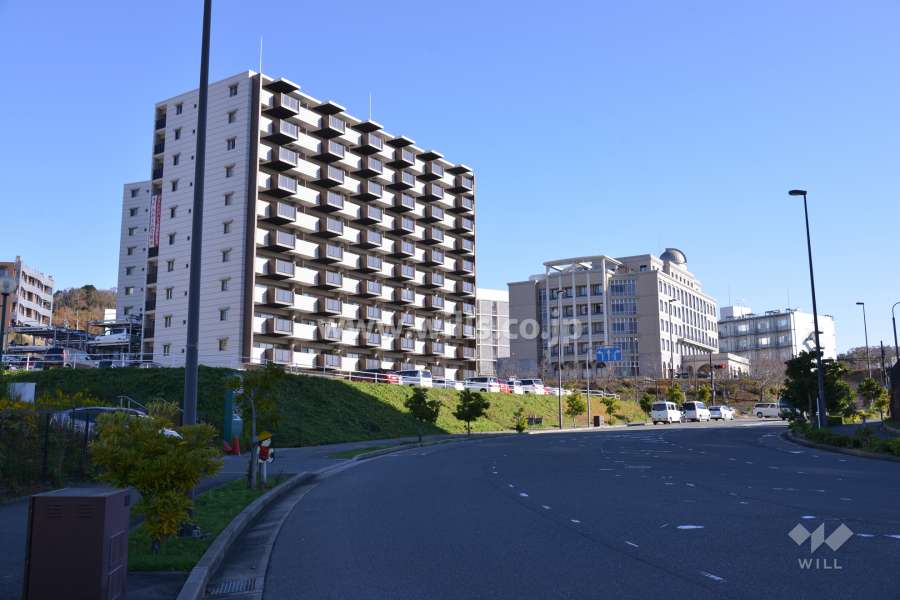 敷地の南側前面道路