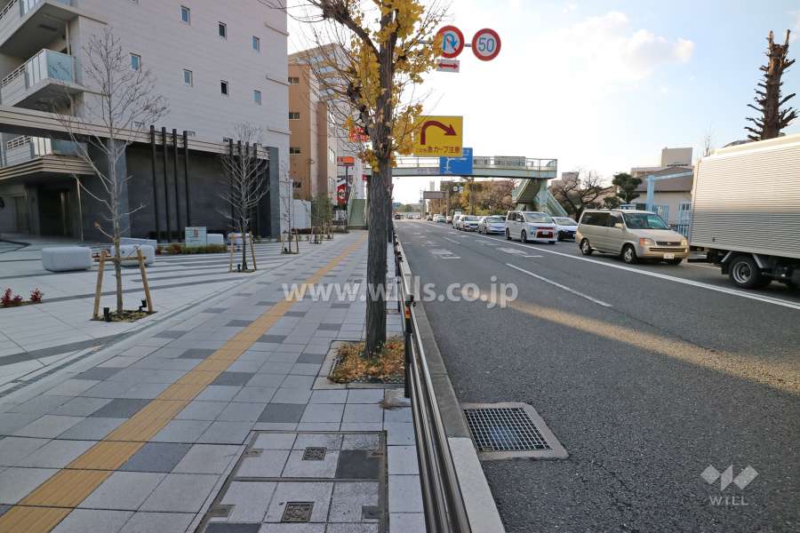 敷地北側の前面道路
