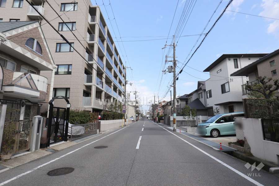 敷地南側の前面道路。