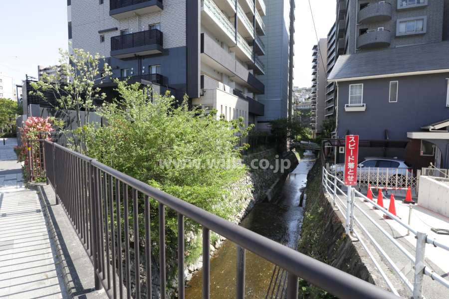敷地西側を一後川が流れています。