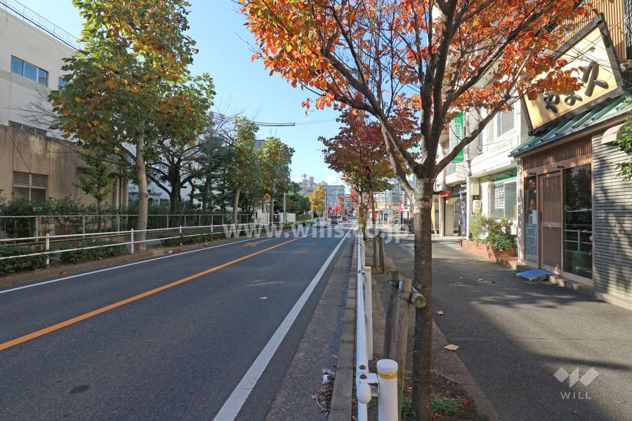 敷地南西側の前面道路（南東側から）