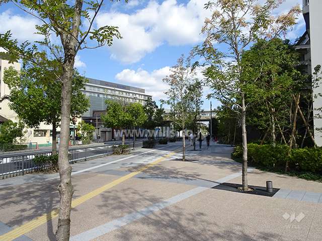 前面道路とマンション建物一部