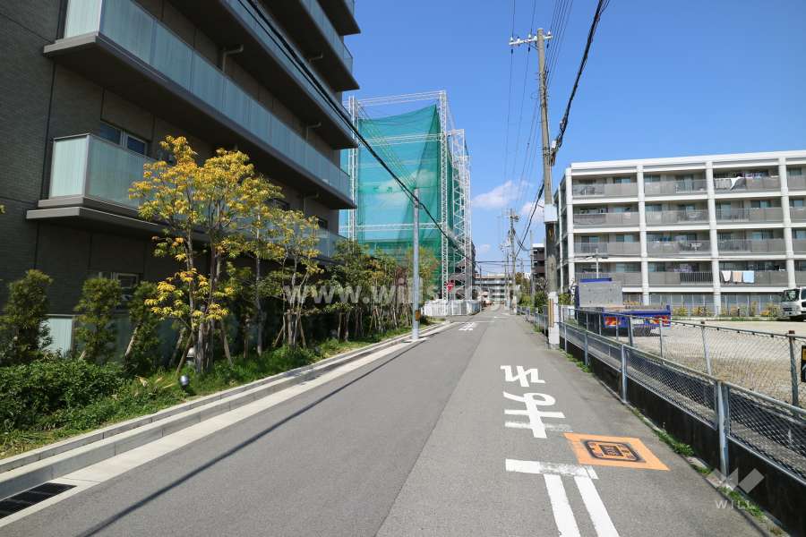 敷地東側の前面道路