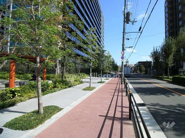 敷地南側の前面道路