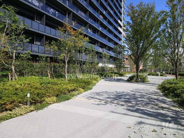 敷地南側の遊歩道（シーズンズプロムナード・有効空地）