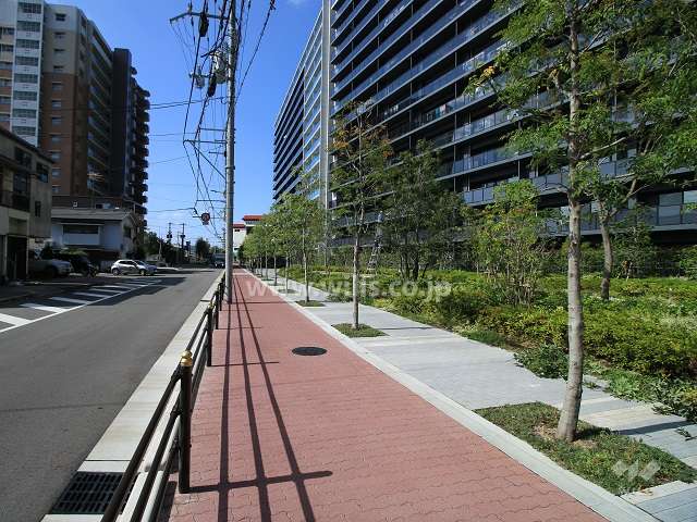 敷地南側の遊歩道（シーズンズプロムナード・有効空地）