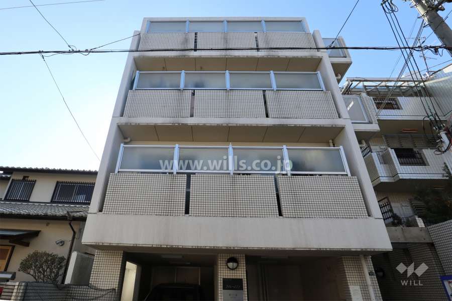 ダイソーメゾン塚口南の外観（北側から）