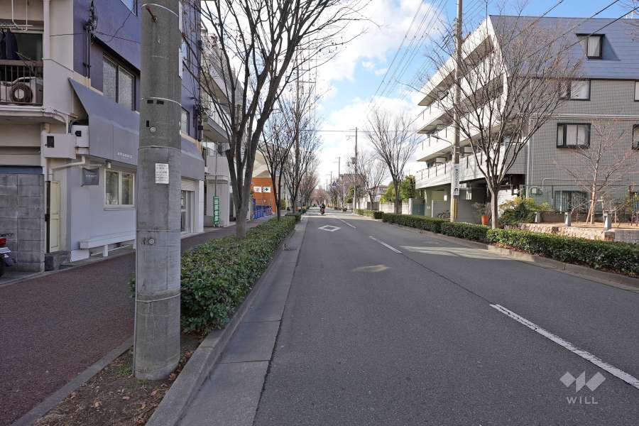 敷地北側の前面道路（東側から）