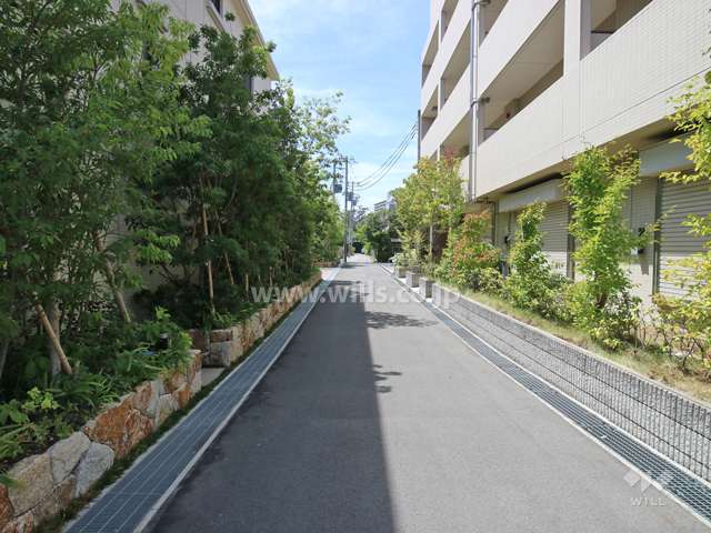 物件の北側前面道路（東側から）