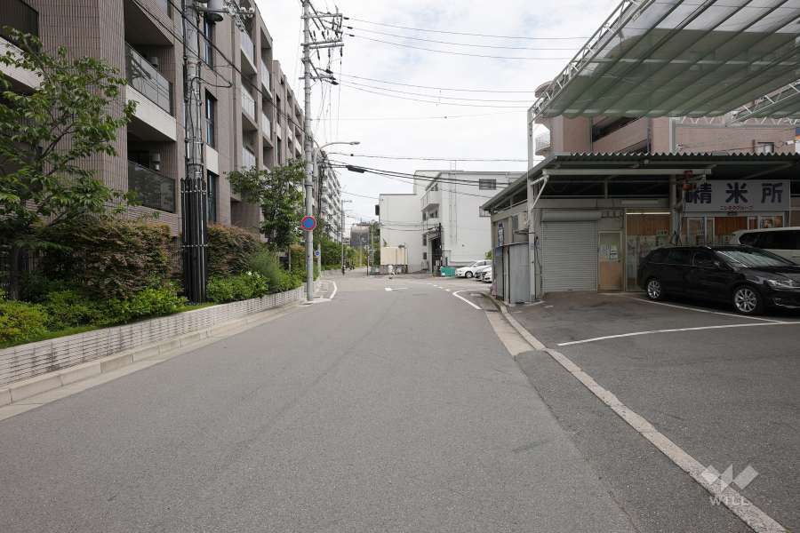 敷地南側の前面道路（西側から）