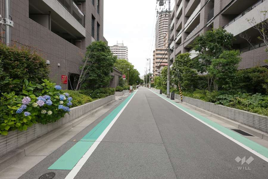 敷地東側の前面道路（南側から）