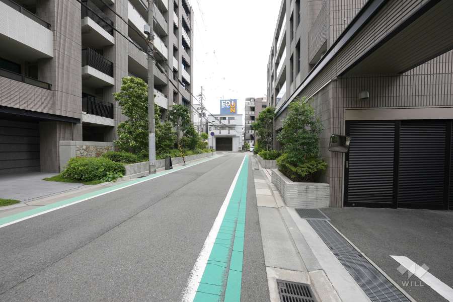 敷地東側の前面道路（北側から）
