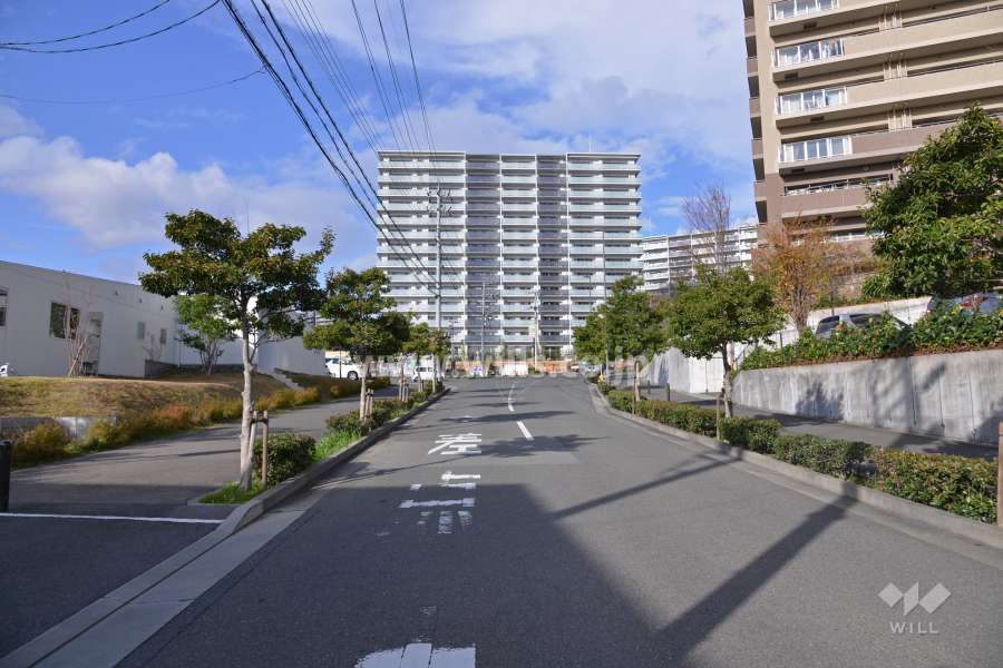 敷地の南側前面道路