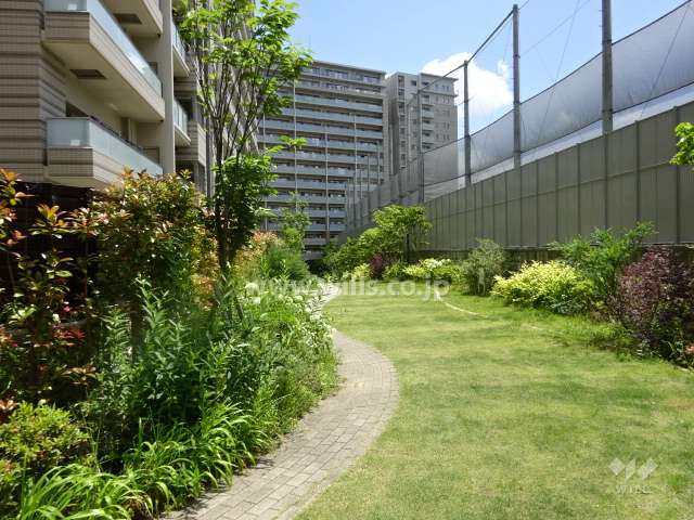 ランニングコース（マンション南西側）