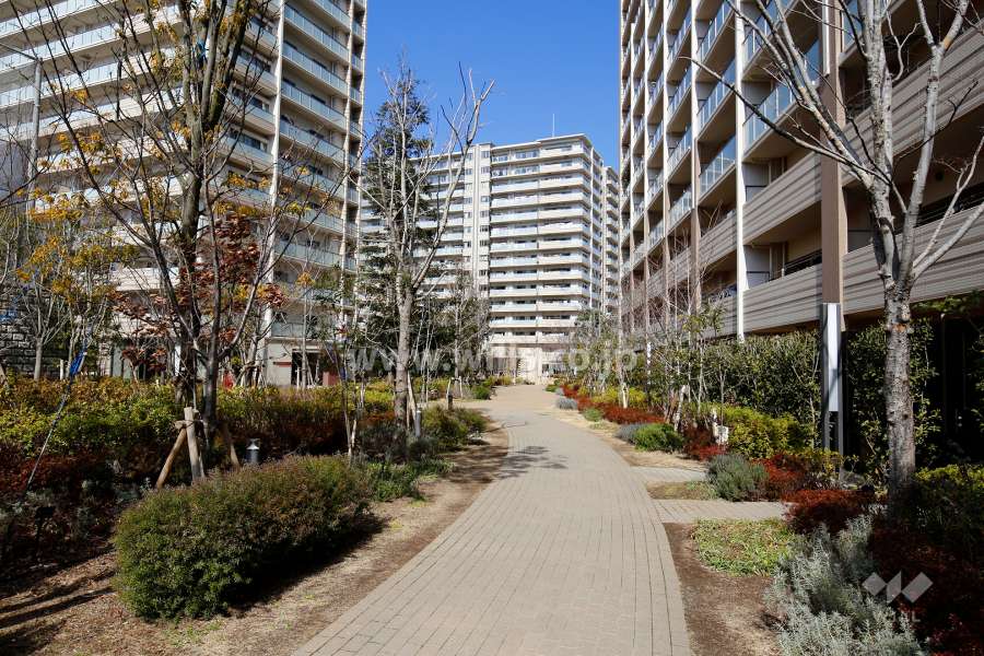 敷地内の通路。敷地内はたいへん緑豊かです。