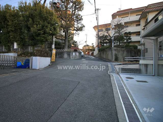敷地西側の前面道路（西側から）