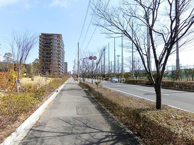 敷地西側の前面道路