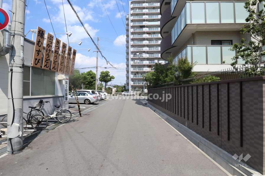 敷地北側の前面道路（西側から）