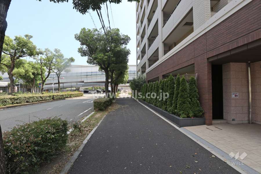 敷地東側前の面道路（北側から）