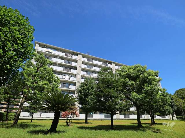 藤の木団地7号棟の外観（南西側から）-(3)