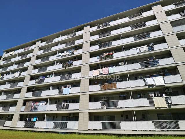 藤の木団地7号棟の外観（南東側から）