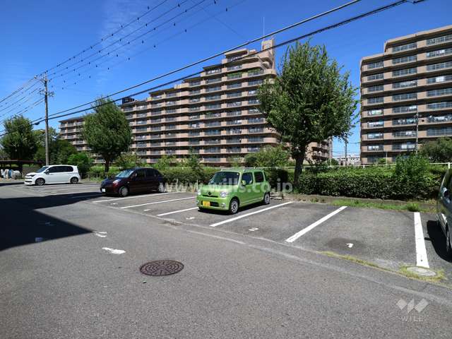 敷地内駐車場（屋外平面式）