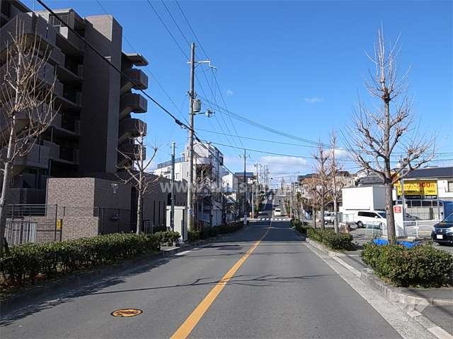 敷地北側の前面道路。街路樹がきれいな二車線の通りです。