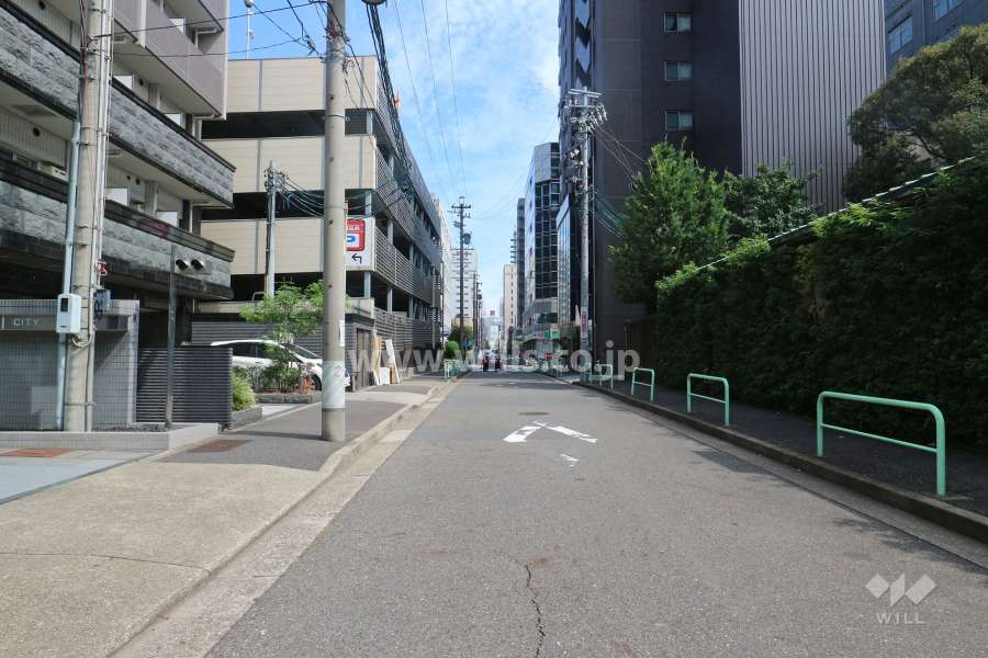 敷地南側の前面道路（西側から）