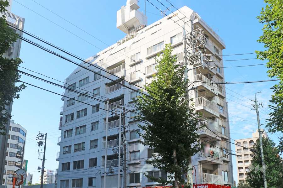 寿ゞやマンション金山の外観（北東側から）