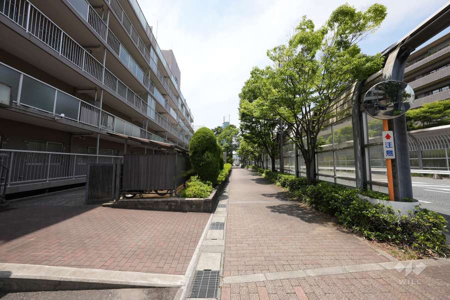 敷地北側の前面道路（東側から）