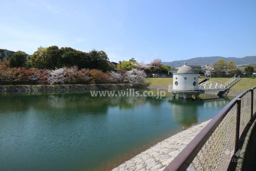 敷地西側に広がる『ニテコ池』は桜でも有名です。