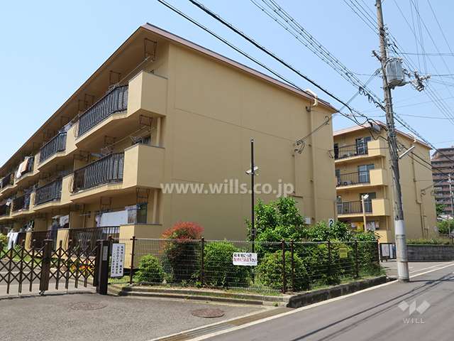 ハイム富田の全景。奥が北棟です。