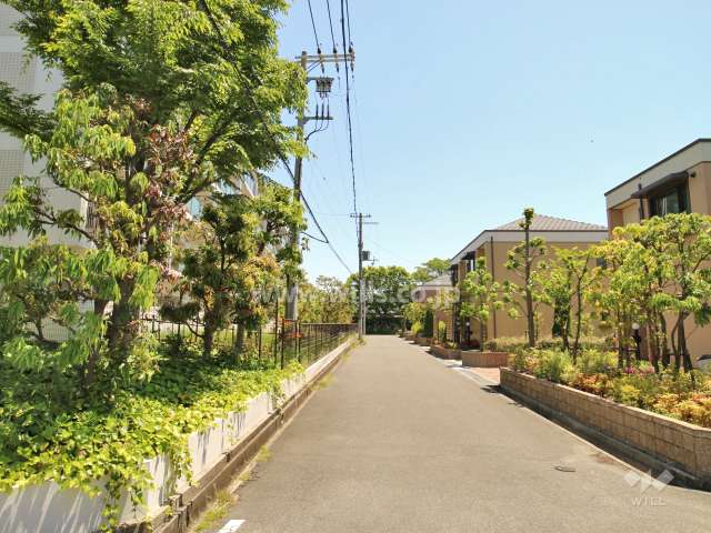 物件の南側前面道路(西側から)