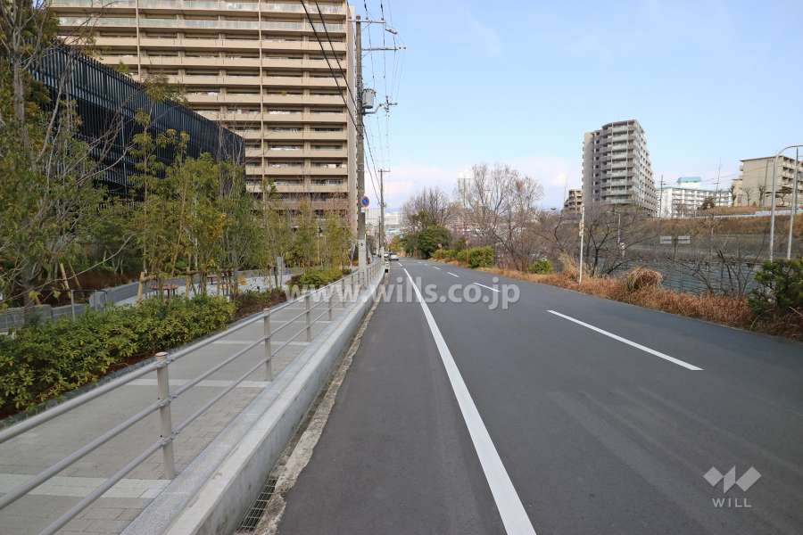 敷地東側前面道路
