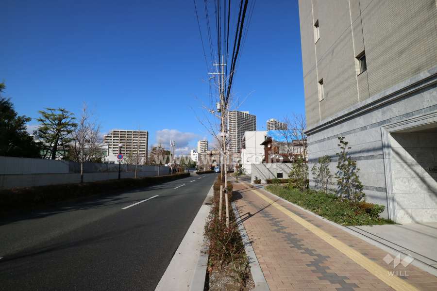 敷地西側の前面道路