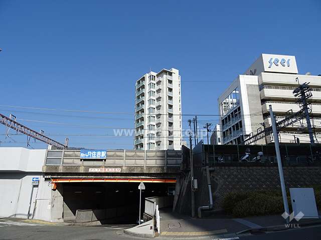 ジオ住吉本町の遠景（南側から）