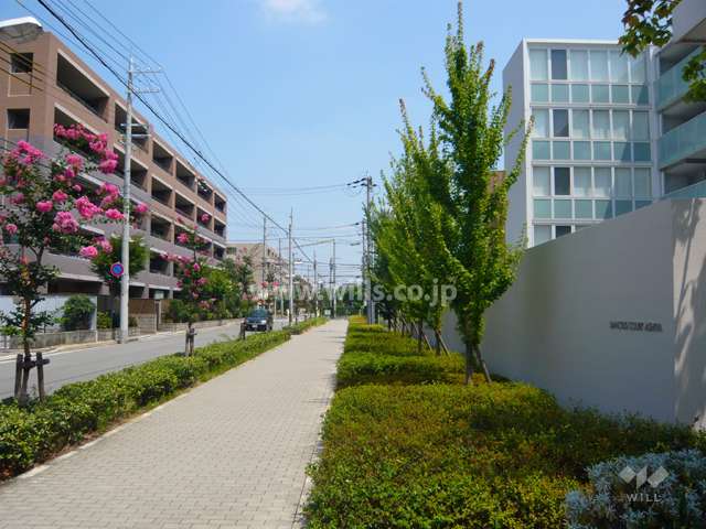 敷地の西側の前面道路