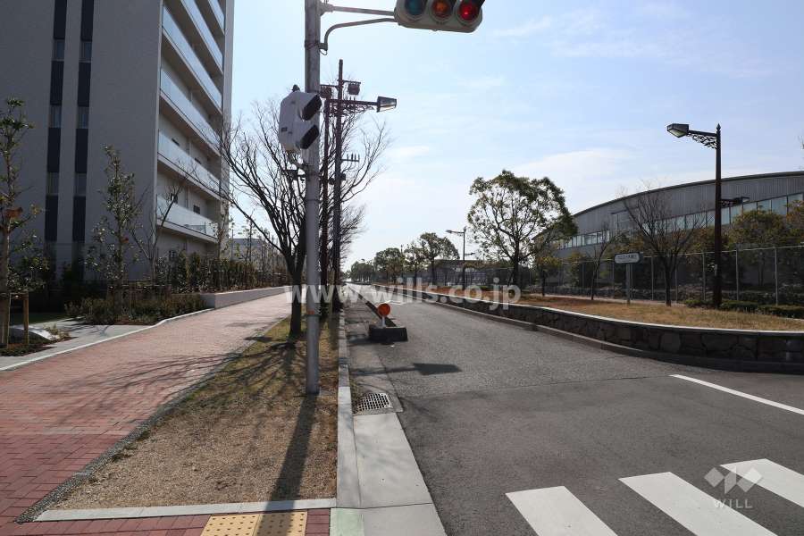 西側前面道路とマンション建物一部（北側から）