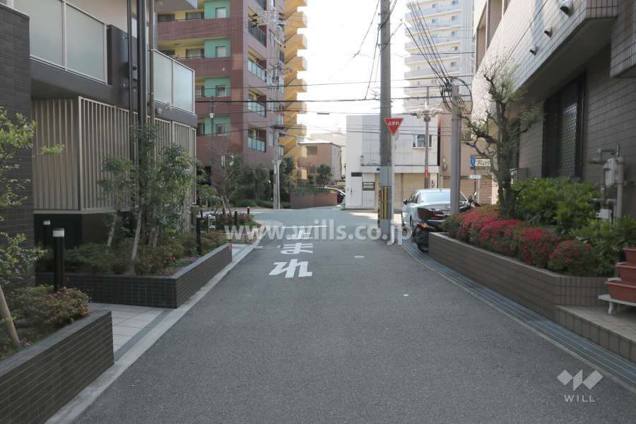 敷地北側の前面道路