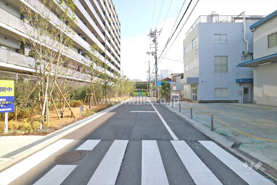 敷地南側の前面道路（西側から）