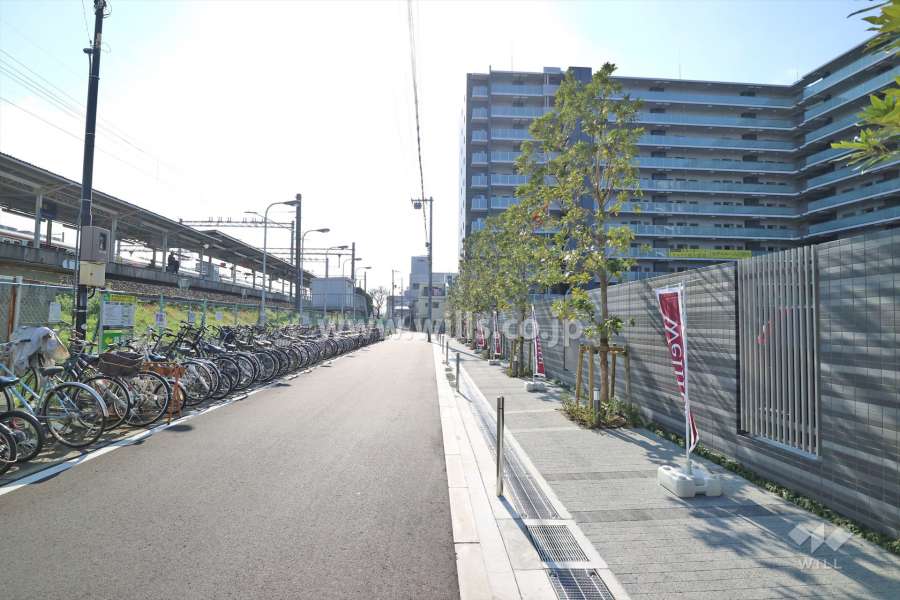 敷地東側の前面道路（南側から）