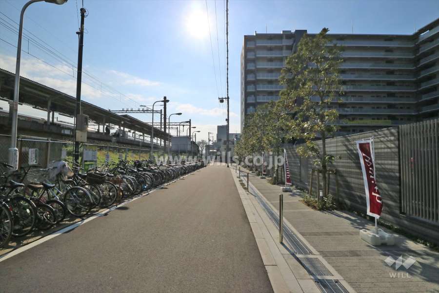 敷地東側の前面道路（北側から）
