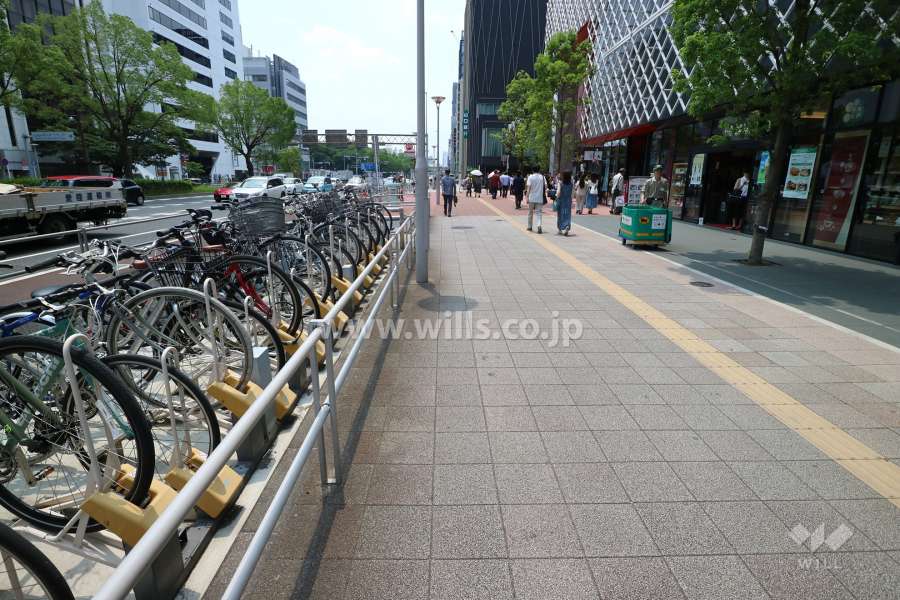 敷地の東側前面道路（北側から）
