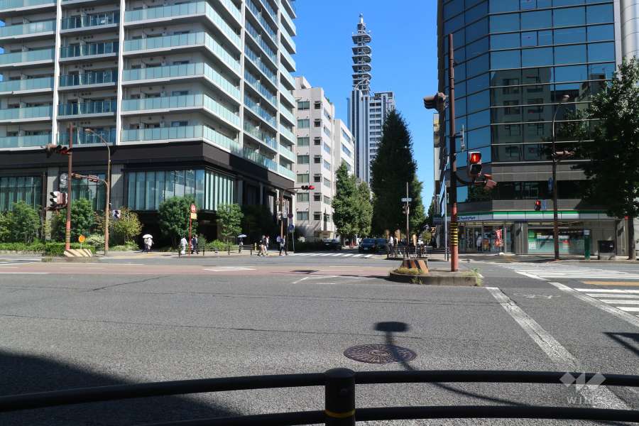 敷地南側の前面道路（西側から）