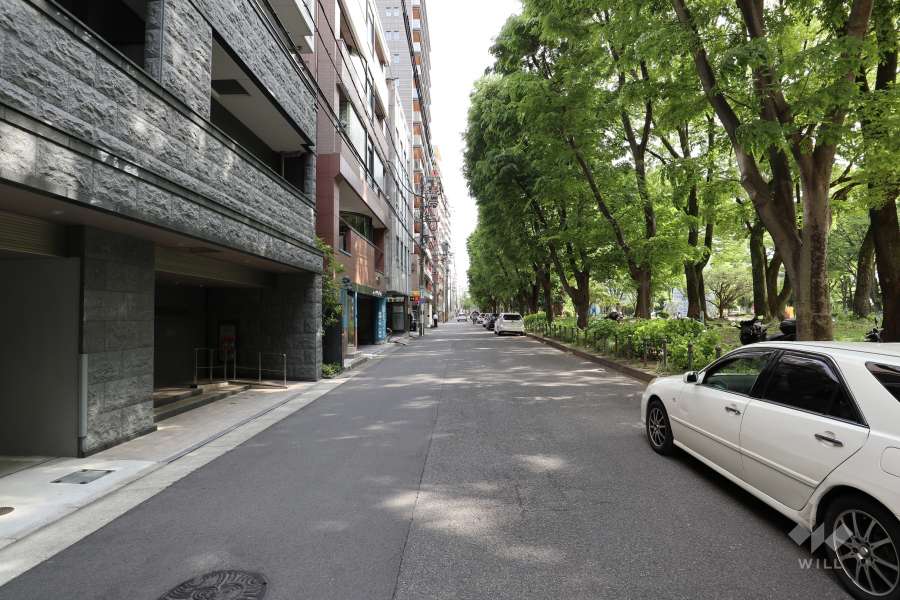 敷地の西側前面道路（北側から）