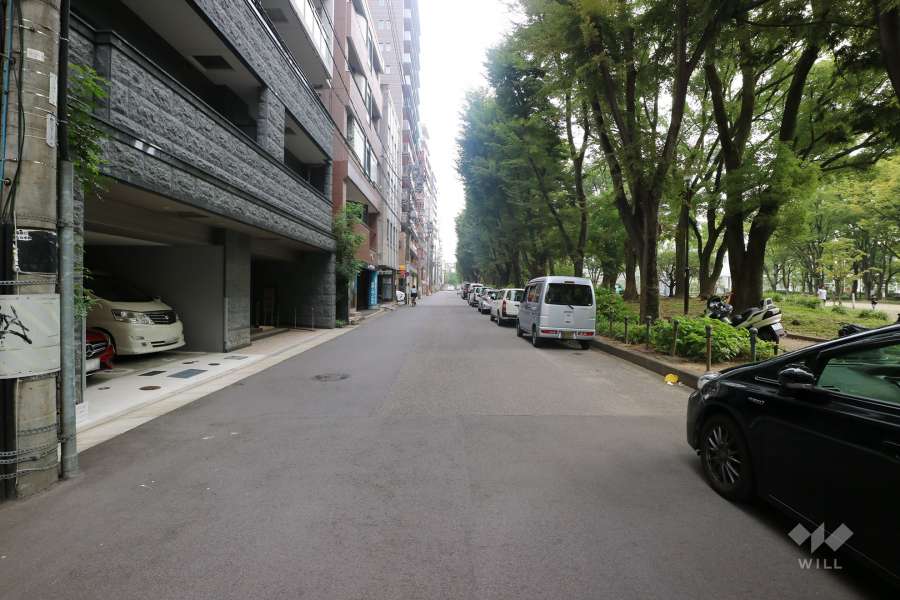 敷地西側の前面道路（北側から）