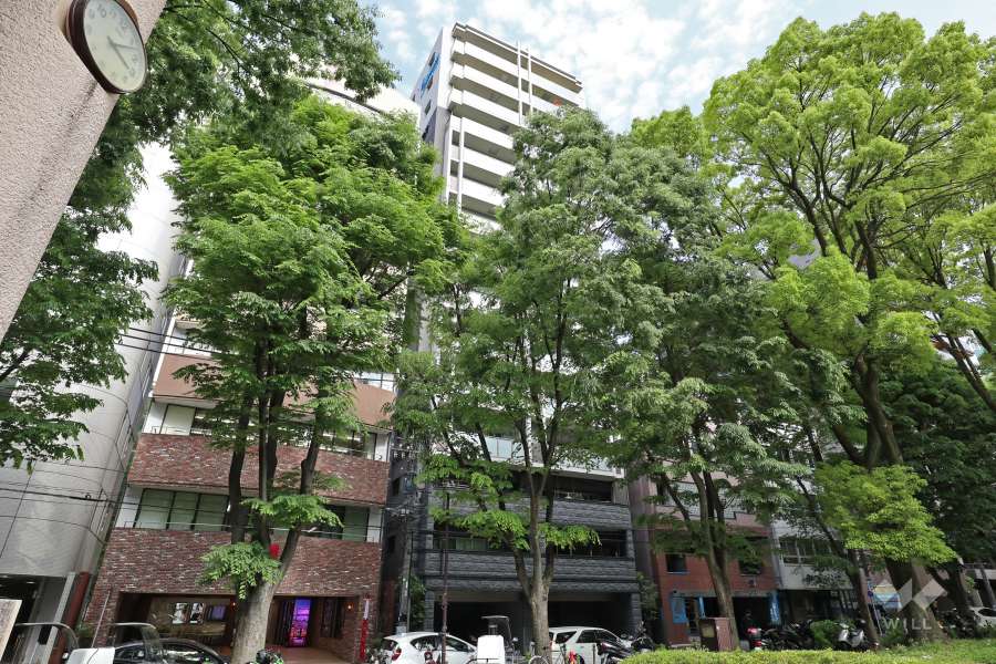 プレサンスロジェ栄白川公園の外観（北西側から）