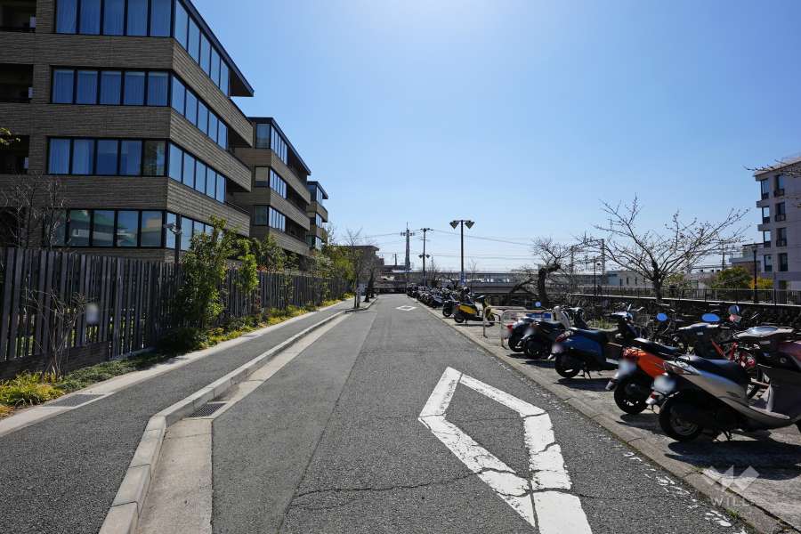 敷地南西側の前面道路（北西側から）